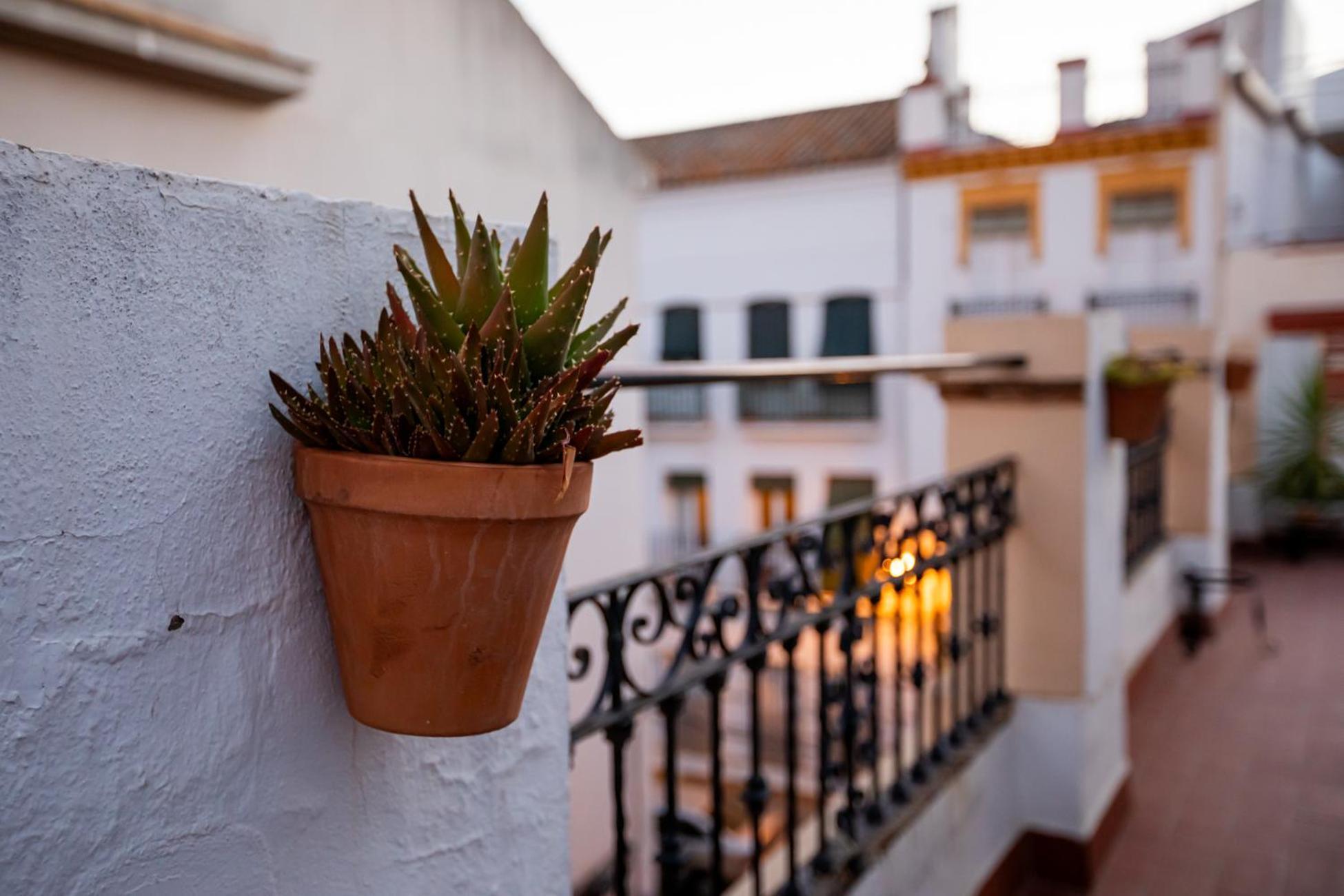 Apartamentos Dona Concha Sevilla Eksteriør bilde
